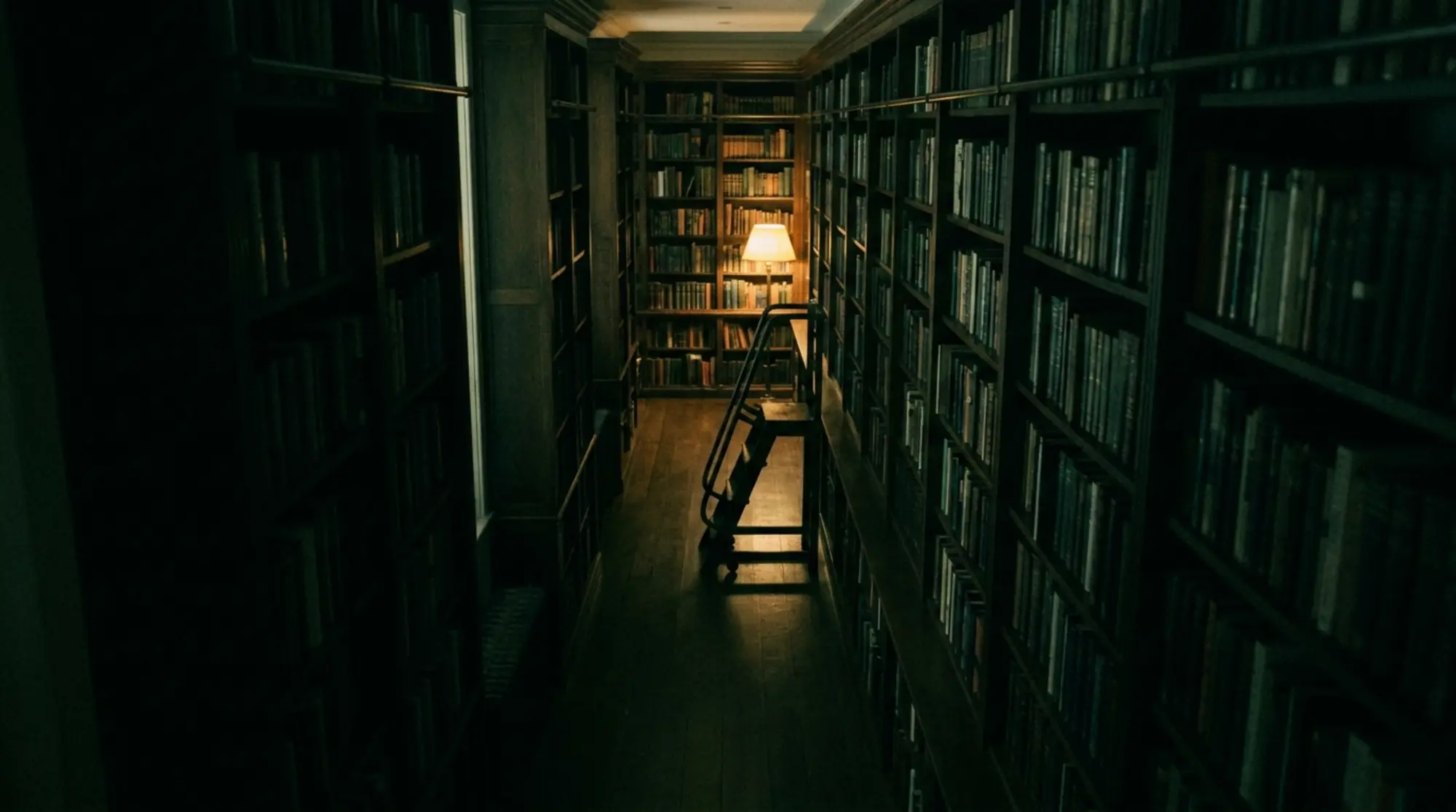 A private library corridor at night, lit by a single lamp at the far end